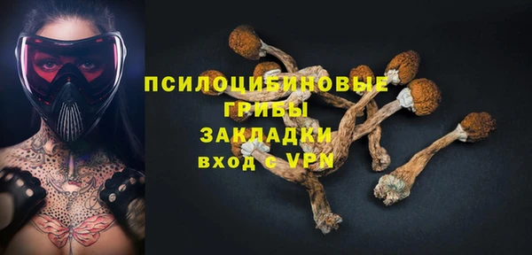 прущий лед Белокуриха