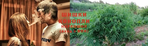 индика Балахна