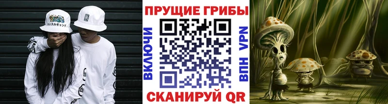 Галлюциногенные грибы ЛСД  Железногорск-Илимский 